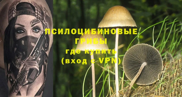 ALPHA PVP Арсеньев