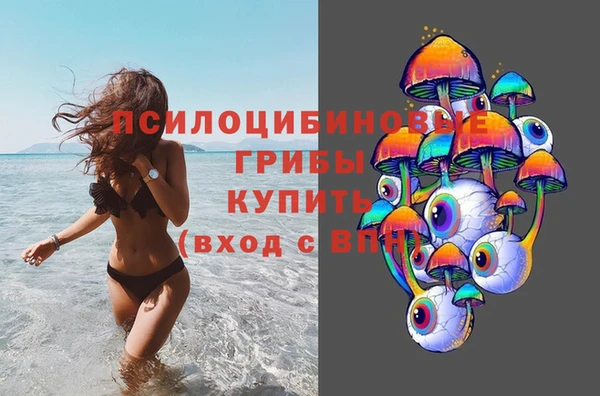 МДПВ Аркадак