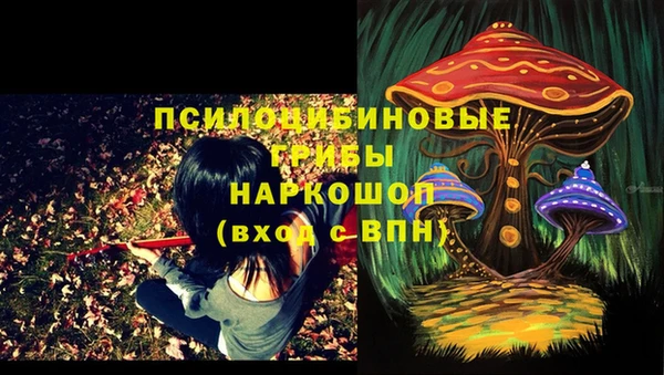МДПВ Аркадак