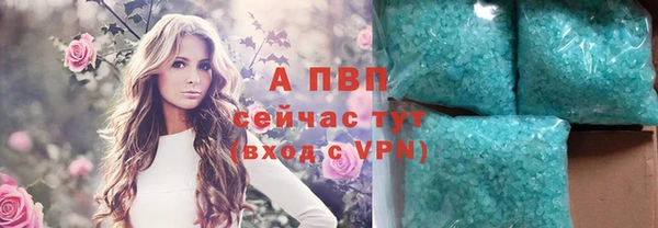 СК Алексин