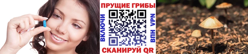 Галлюциногенные грибы MAGIC MUSHROOMS  Заозёрный 